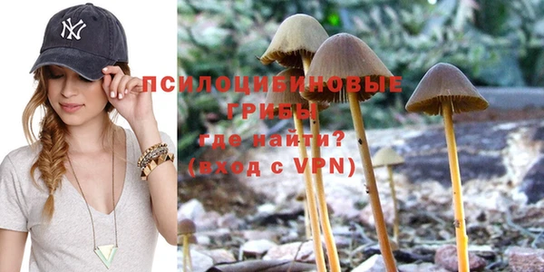 мдма Няндома