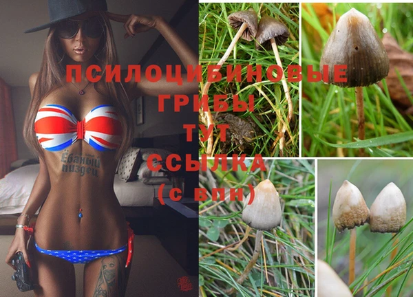 a pvp Переславль-Залесский