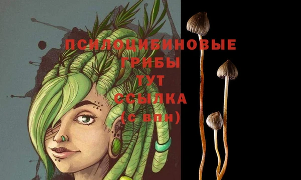 PSILOCYBIN Заволжье