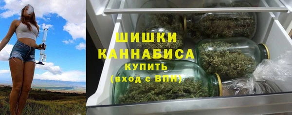 шишки Нягань