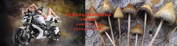 a pvp Переславль-Залесский