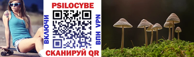 купить закладку  Кашин  Псилоцибиновые грибы Psilocybe 